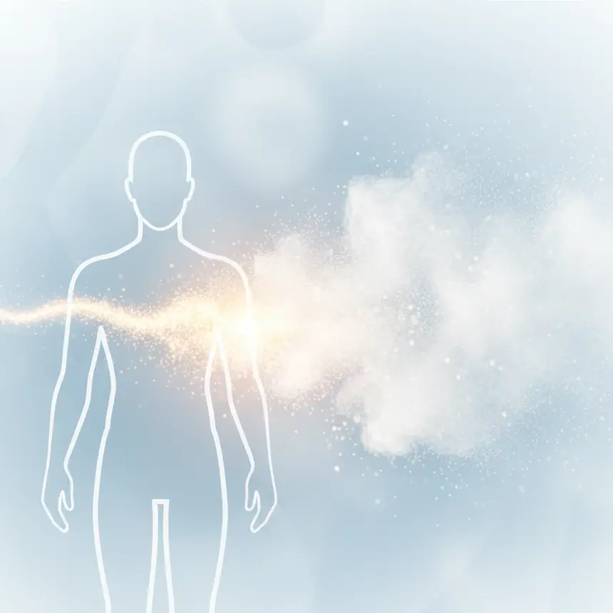 Key Factors for Selecting an Effective Vitality Booster