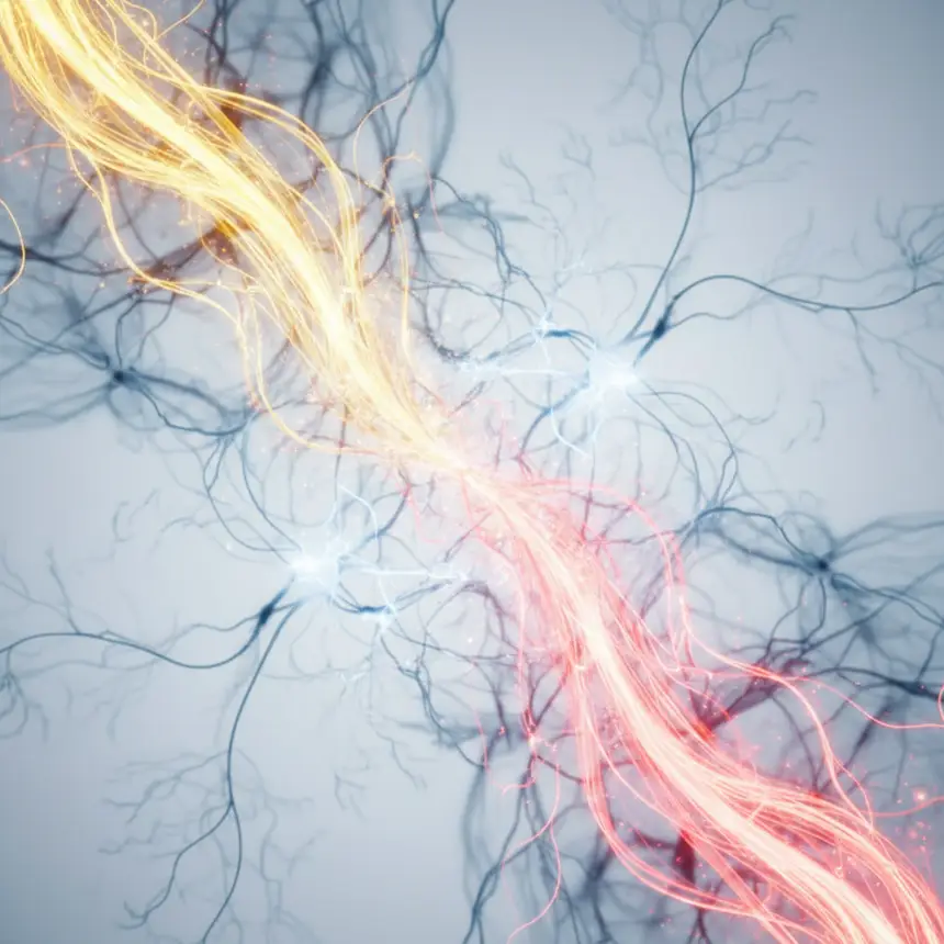 Hormonal imbalance body effects